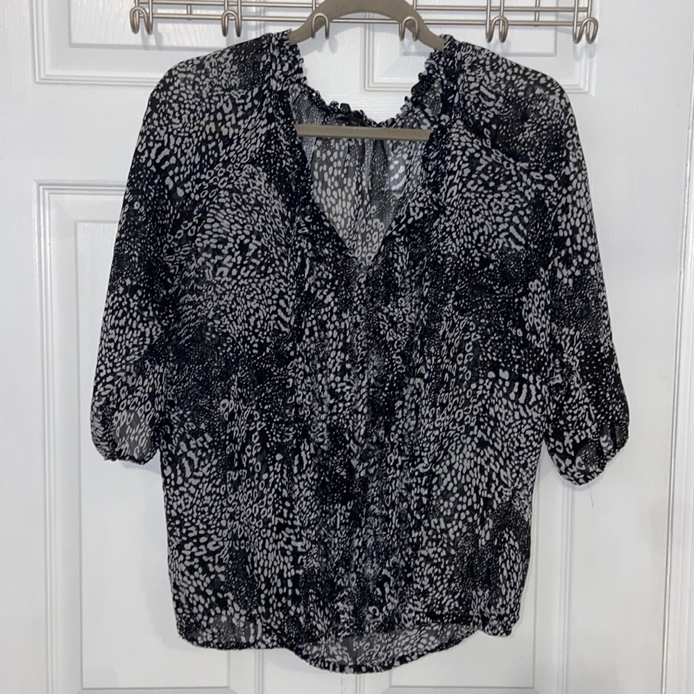 Express Sheer Blouse